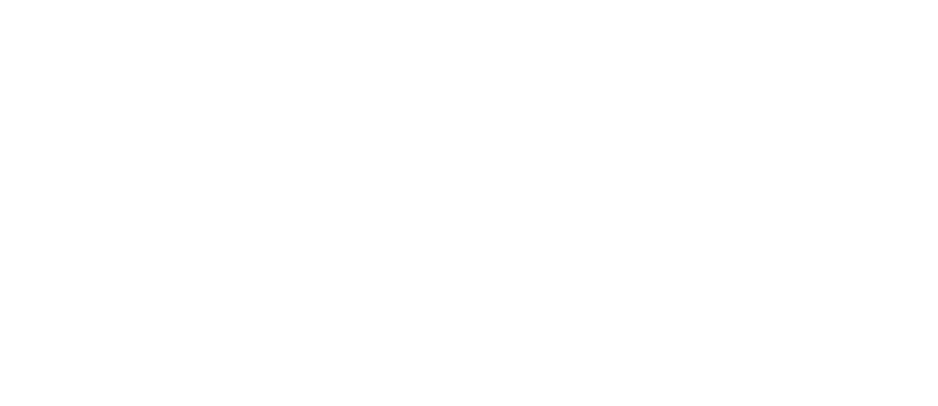 Ukraine-Moldova American Enterprise Fund